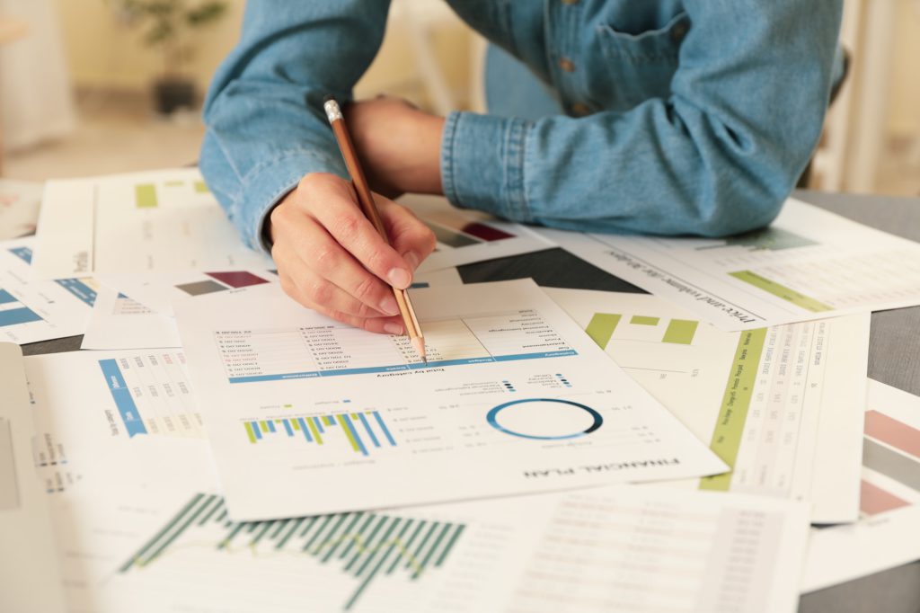 Young business woman doing a financial planning